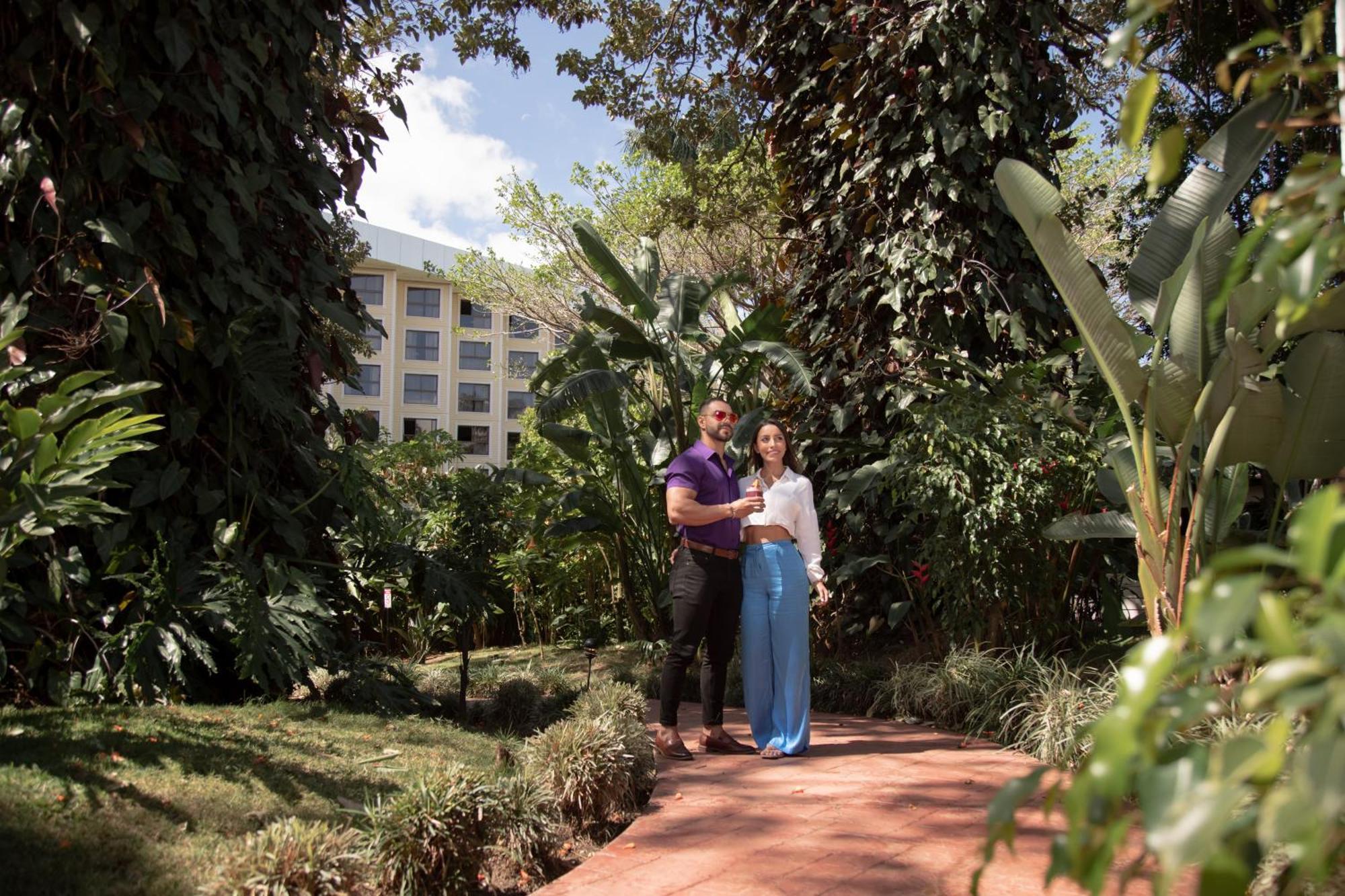 Barceló San José Hotel Exterior foto The Botanical Garden of the University of Patras